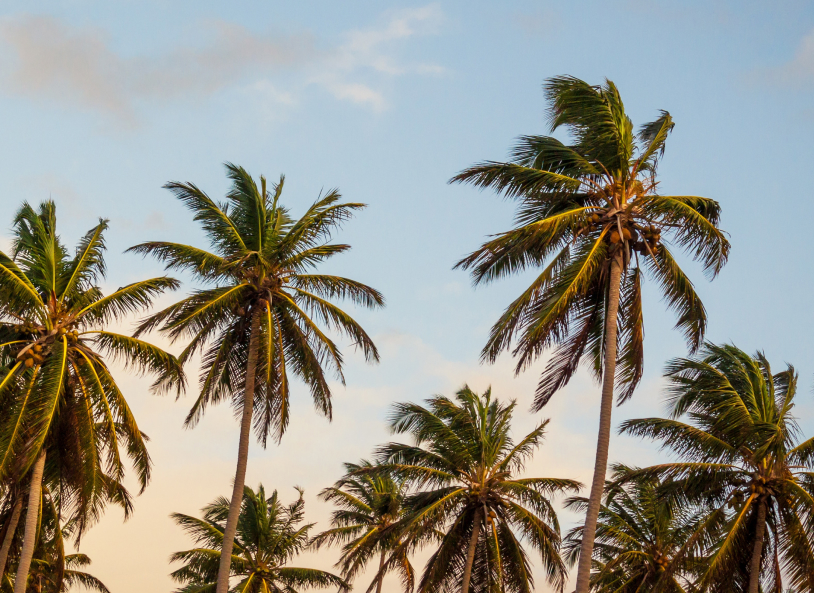 communites_archive_intro_1